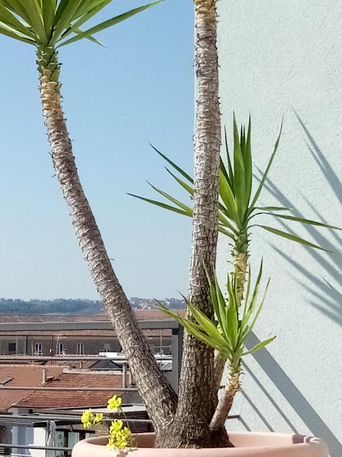 Hotel Chiaraluna Civitanova Marche Esterno foto